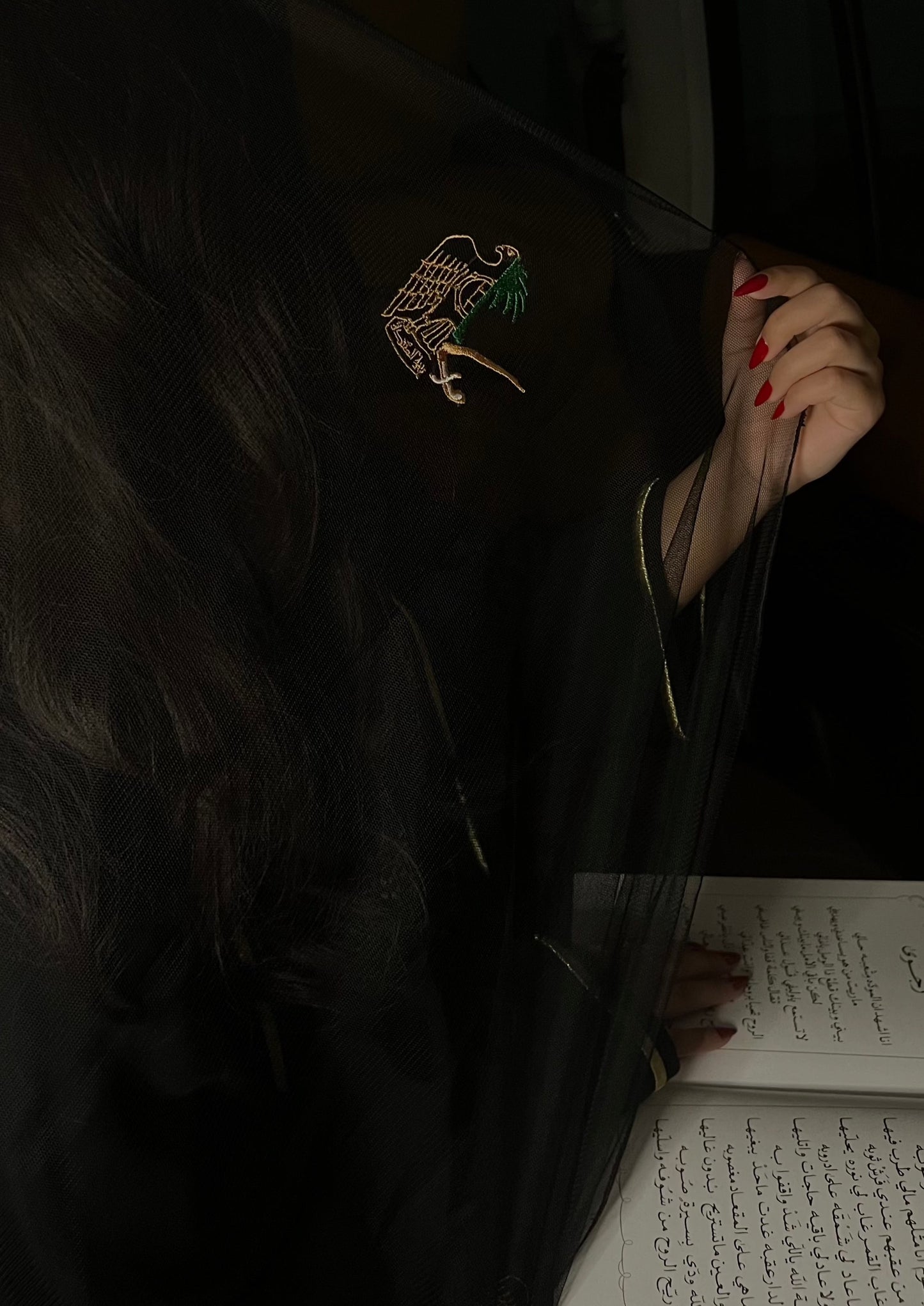 شيلة تور السعودية و الامارات 🇦🇪🇸🇦