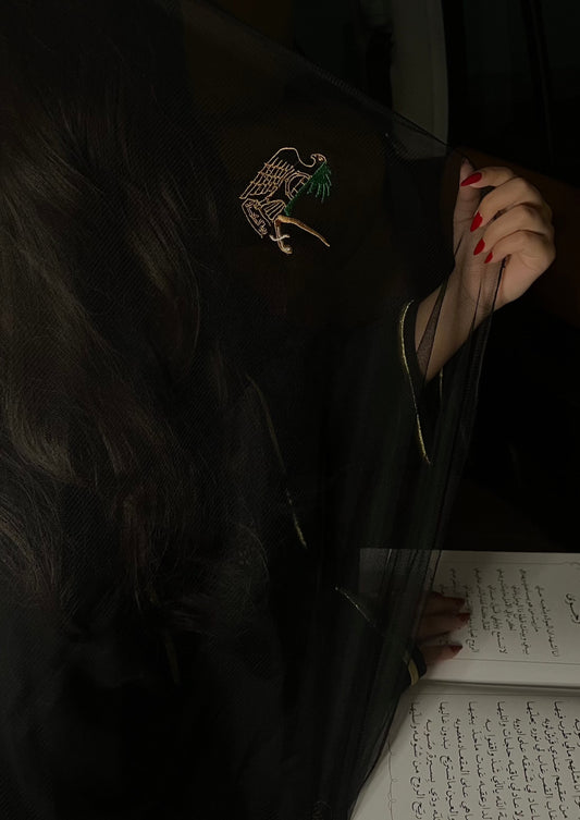 شيلة تور السعودية و الامارات 🇦🇪🇸🇦